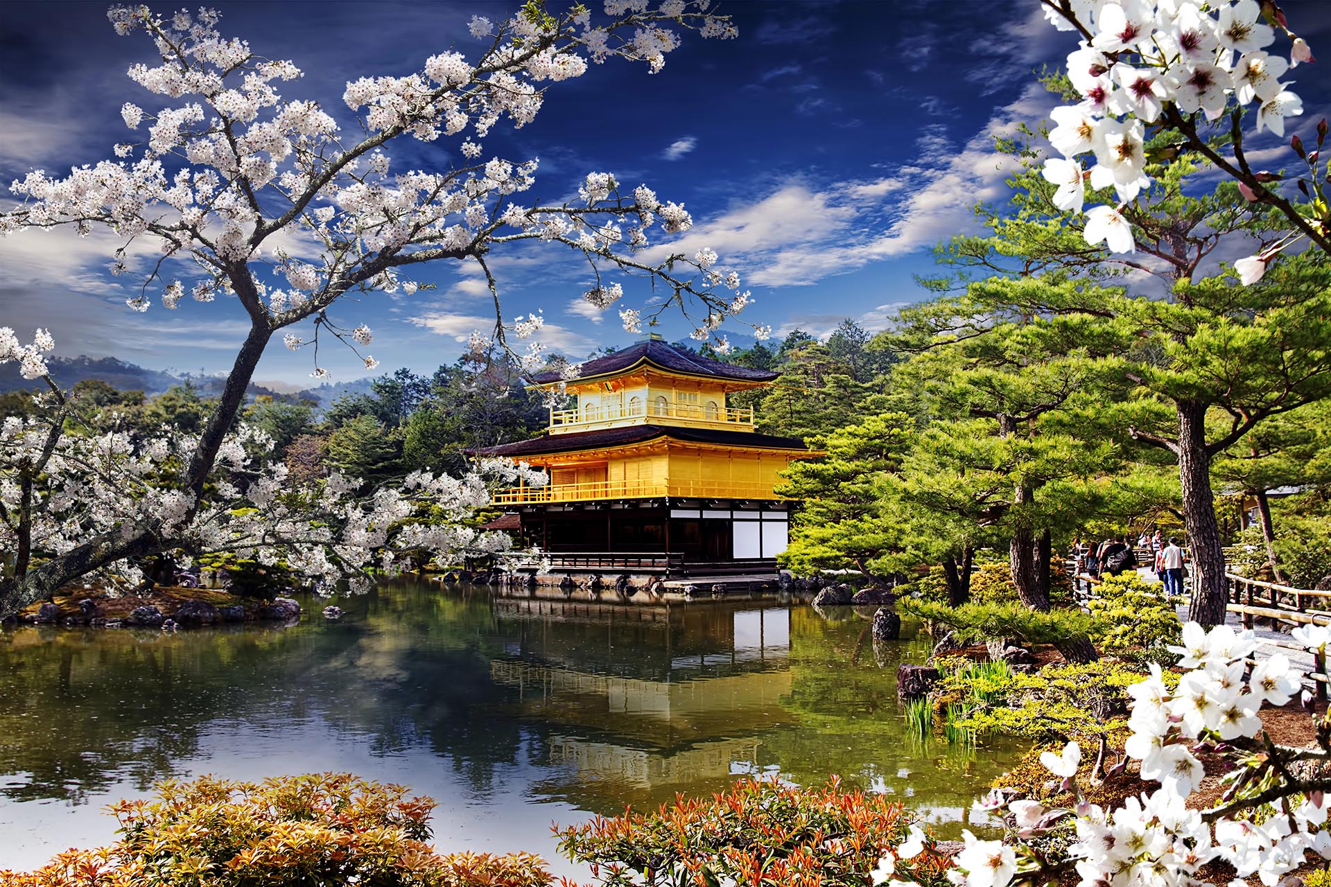 Sakura Park